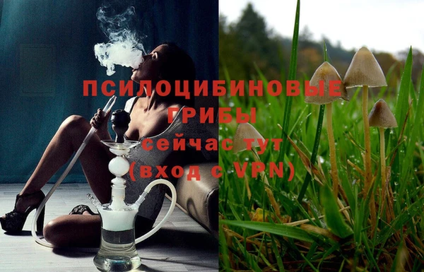 ГАЛЛЮЦИНОГЕННЫЕ ГРИБЫ Навашино