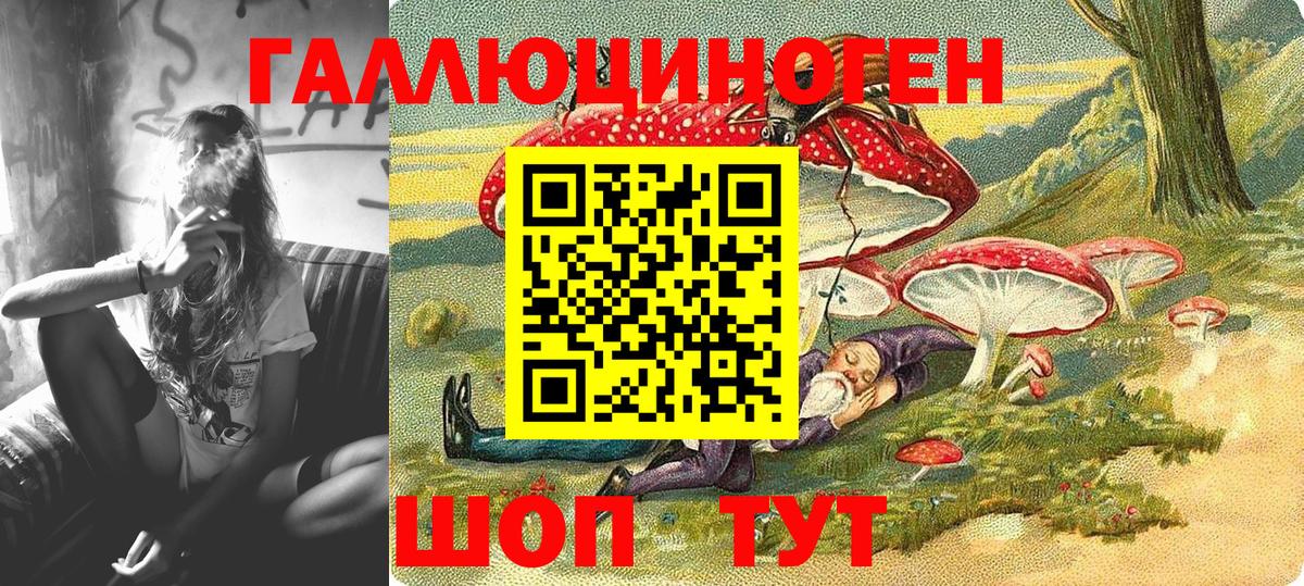 дарнет шоп  Вход с VPN  Асино  Псилоцибиновые грибы GOLDEN TEACHER 